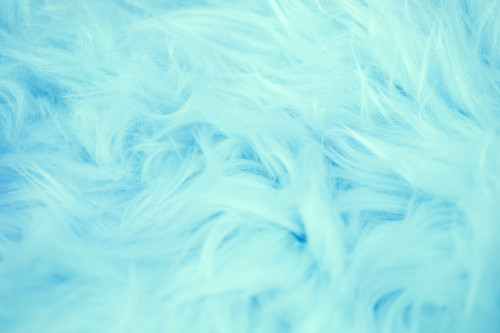 blue fur for webpage
